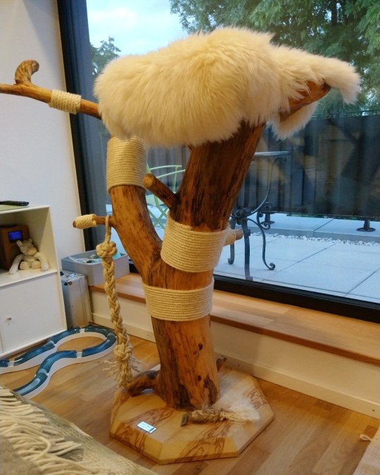Naturkratzbaum für schwere Katzen wie Maine-Coon mit einer Liegefläche