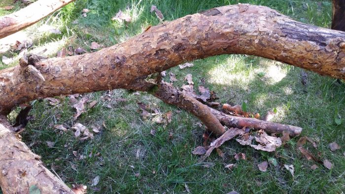 Kratzbaum Rohling vor der Bearbeitung